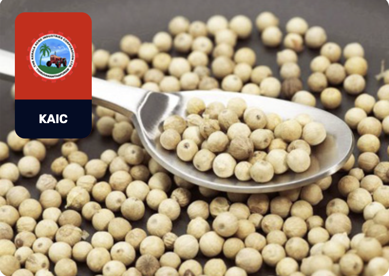 WHITE PEPPER